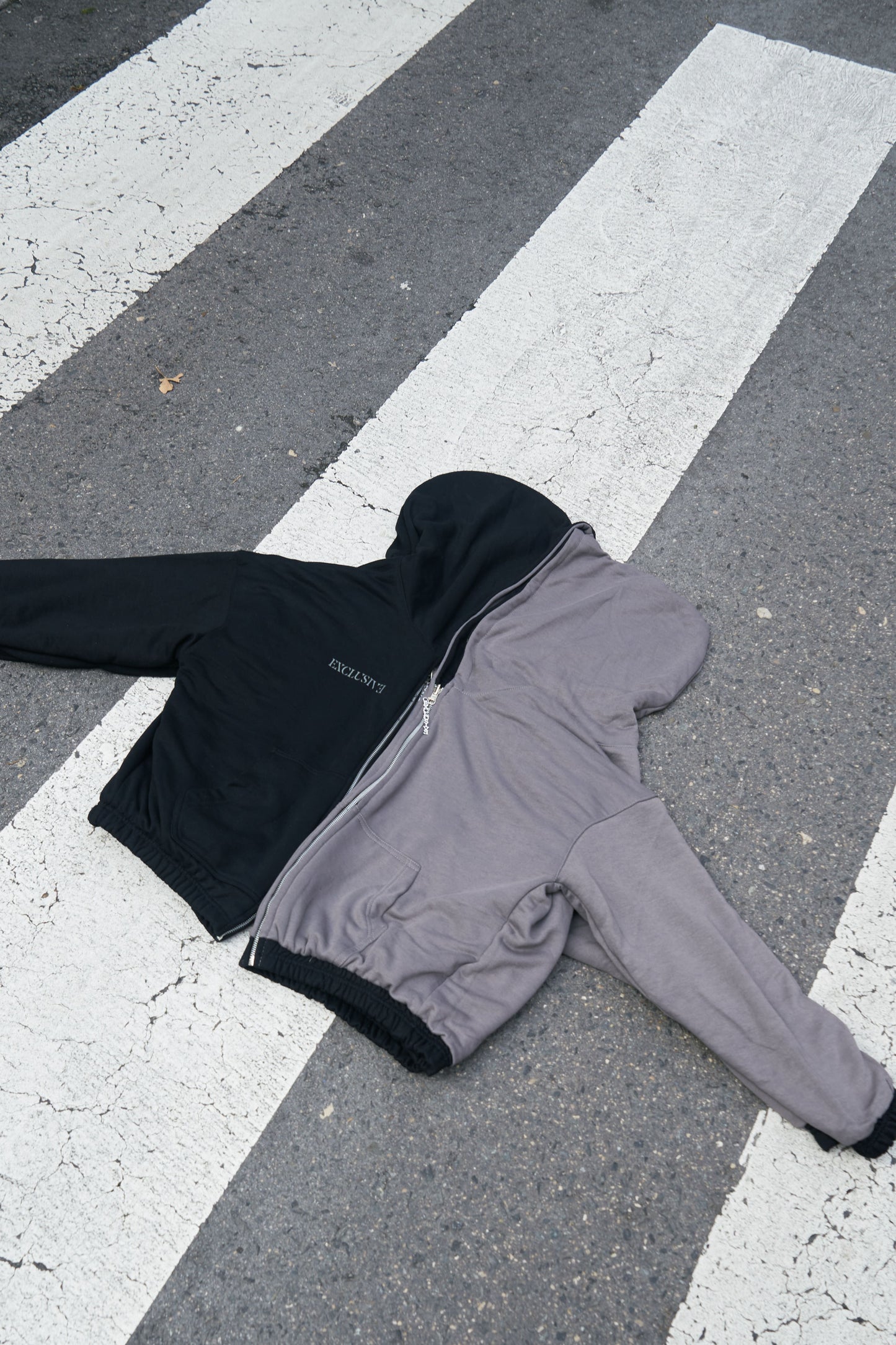Dual Pegasus Zip Hoodie